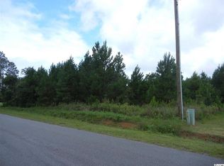 376 N. Cox Rd. #LOT 1, Loris, SC 29569