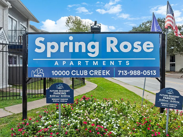Spring Rose — Photo 9