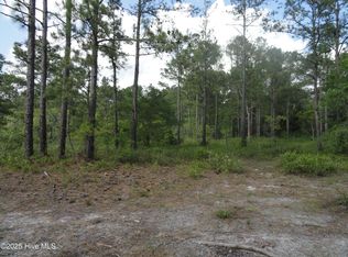 1 River Trail Lot 1, Burgaw, NC 28425
