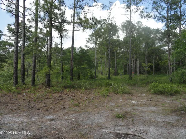 1 River Trl Lot 1, Burgaw, NC 28425
