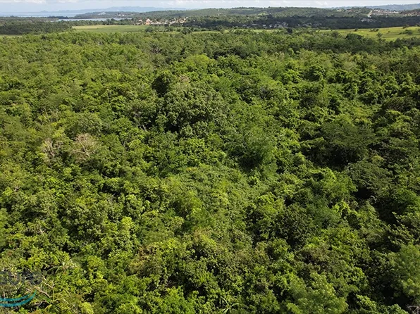 15.8 Int Pr #102, Cabo Rojo, PR 00623