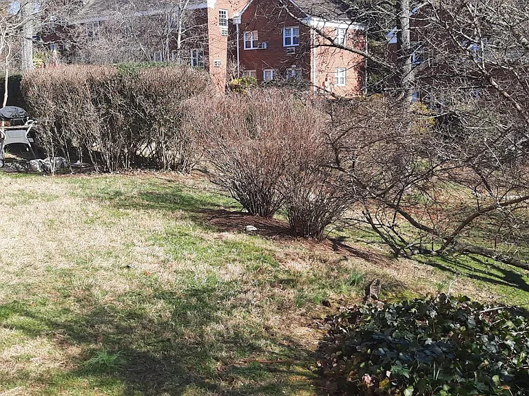 1719 Preston Rd — Photo 20