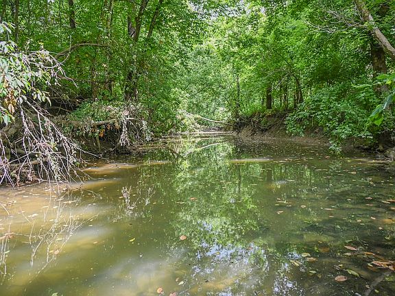 3rd image of 71 Three Lick Rd