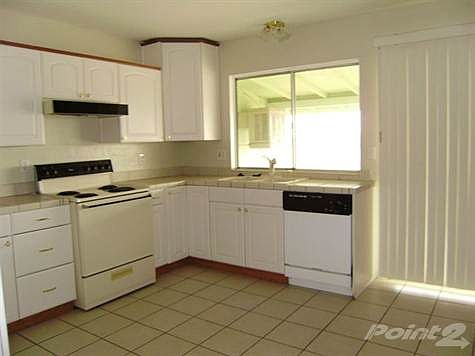 Walk 12-30-09 033