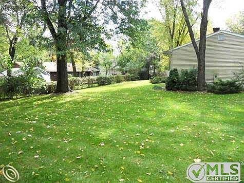 Large Yard.JPG