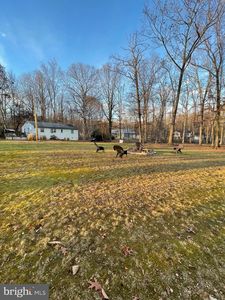 5165 Dovetail Ln, Warrenton, VA, 20187
