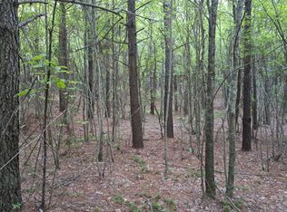 LOT 22 Airport Rd, Rockwood, TN 37854