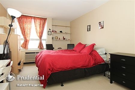 4th image of 1355 N Sandburg Ter APT 1204