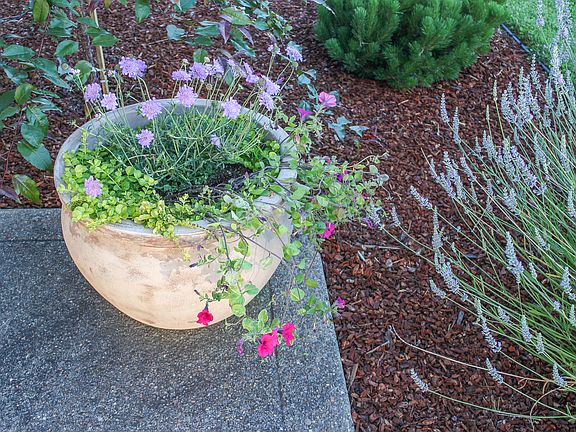 Decorative planter by entry