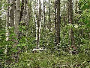 5th image of 2969 State Route 28