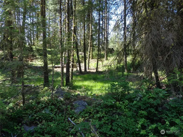 3525 TBD Summit Lake Road, Tonasket, WA 98855