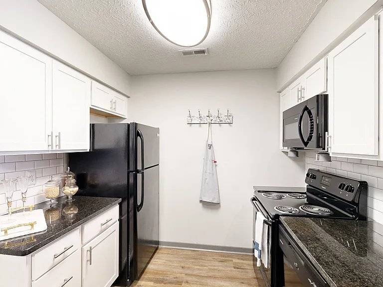 Silvertree at Little Turtle Apartments — Photo 12