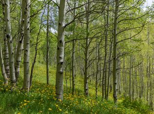 Dolores River Subdivision LOT 3, Rico, CO 81332