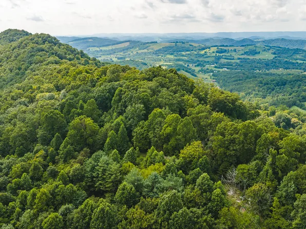 2595 Highway 31, Mooresburg, TN 37811