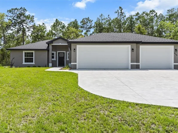 8768 N Hasting Dr, Citrus Springs, FL 34433