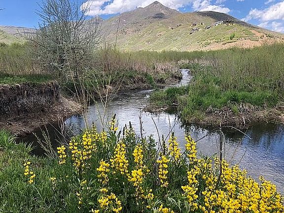 Snake Creek behind the lot.