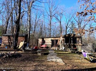 11573 N Willow Ave, Bitely, MI 49309