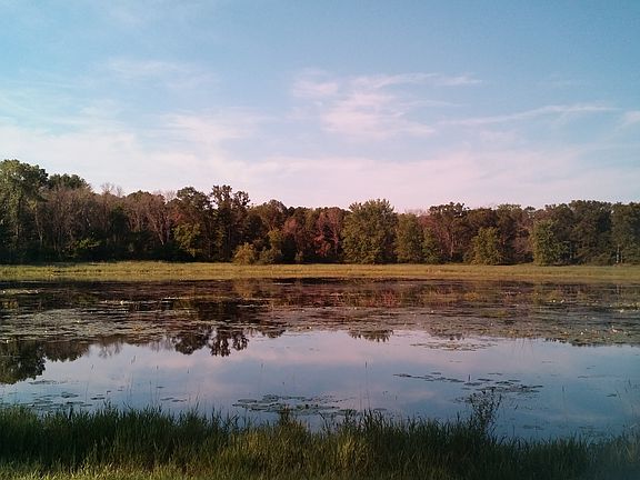 3rd image of 9025 Boelter Lake Dr