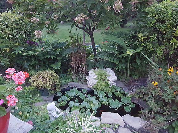 Pond on patio