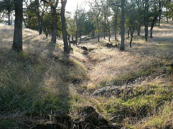 Seasonal creeks
