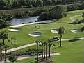 GOLF COURSE VIEWS