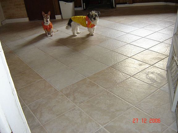 Ceramic tile in kitchen