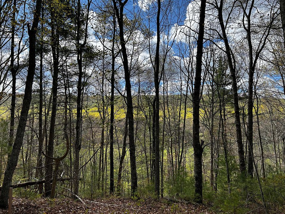 Moncove Lake Rd, Gap Mills, WV 24941 MLS 23465 Zillow