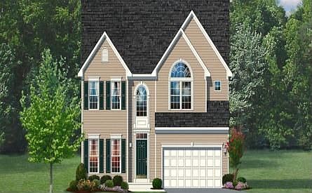 ElevationImage