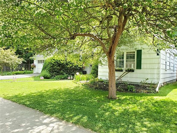 4th image of 22 Forrest Ave