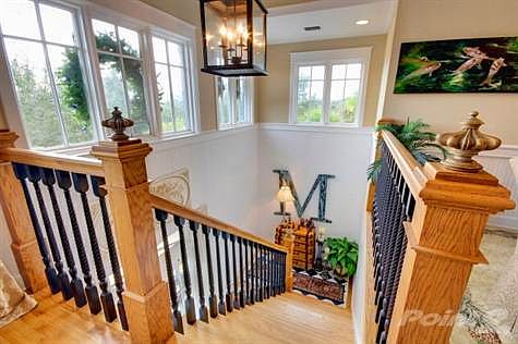 Entry/Foyer