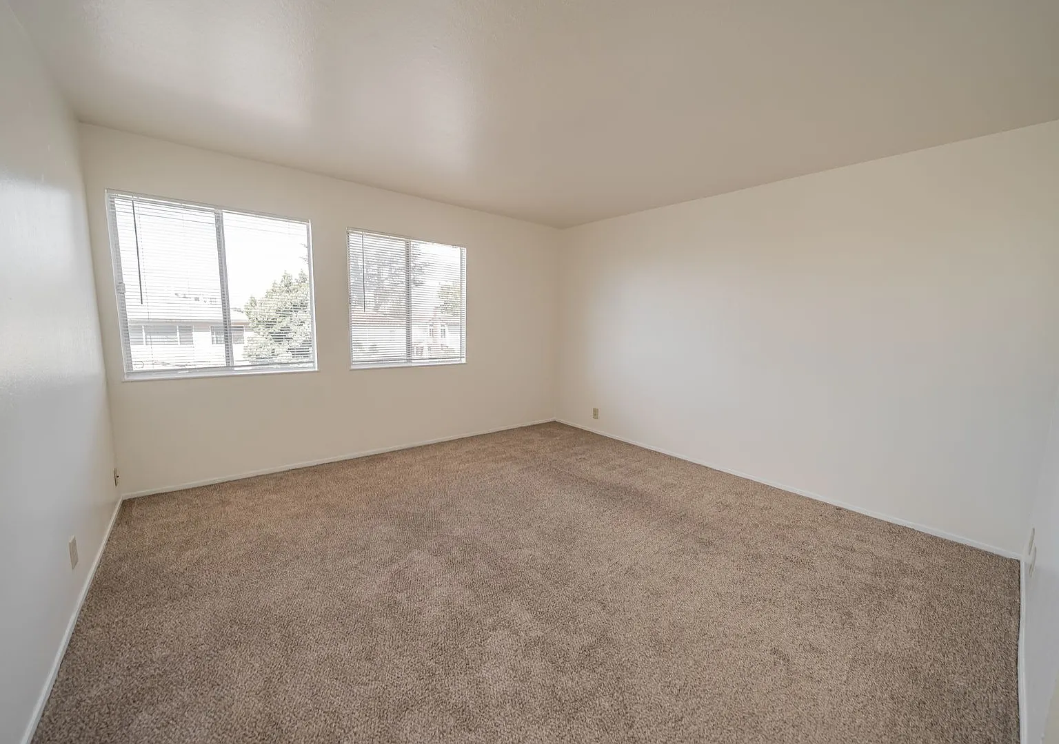 354 Vernon Street — Photo 2
