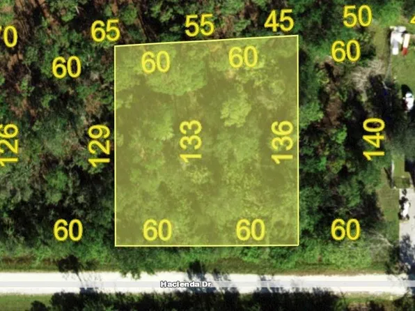 27198 & 27204 Hacienda Dr Lot 20, Punta Gorda, FL 33955