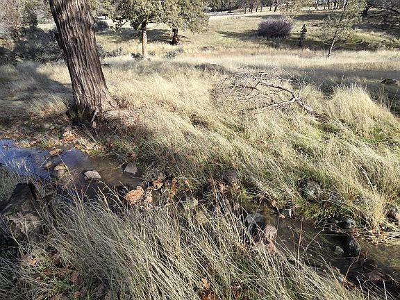 4th image of 10135 Little Bogus Creek Rd