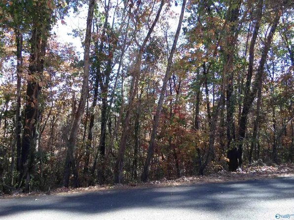 18-19 Scenic Hwy, Gadsden, AL 35904