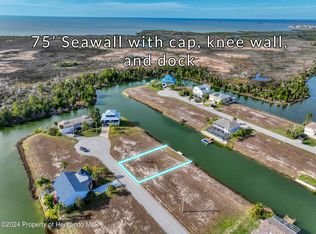 3367 Jewfish Dr, Hernando Beach, FL 34607