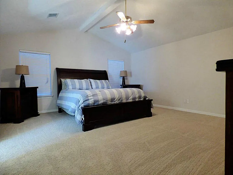 3630 Purple Meadow Ln — Photo 13