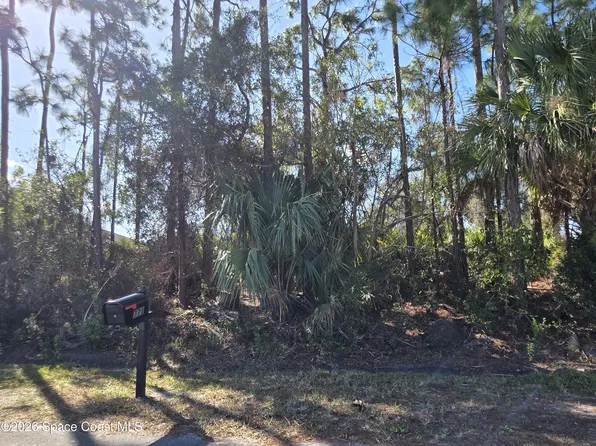 770 Montrose St SE, Palm Bay, FL 32909