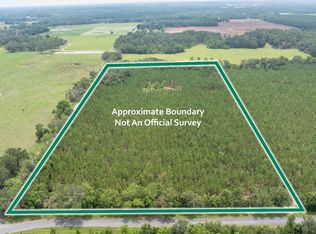 0 Tbd 137th Rd, Live Oak, FL 32060
