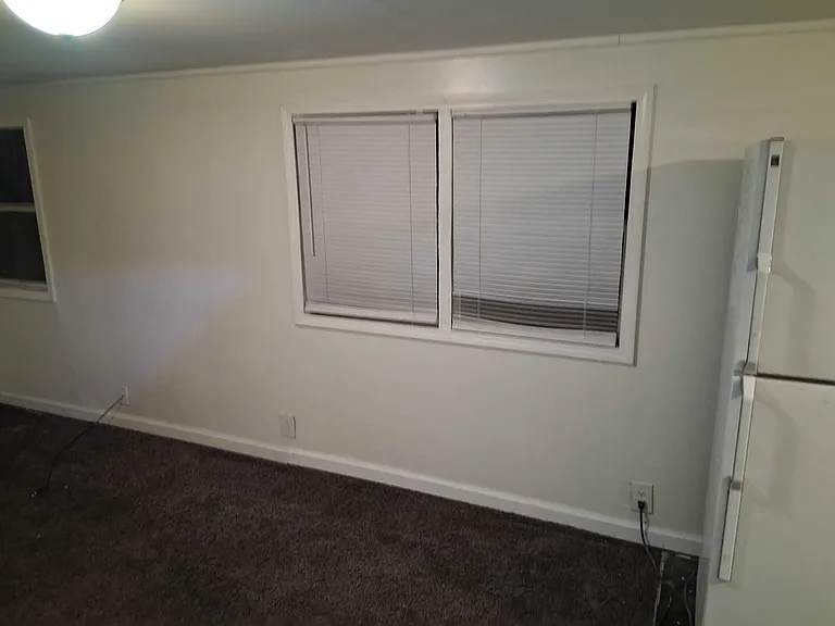 239 N Park Ave #8 — Photo 4