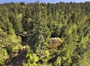 10 Hill Way, Lilliwaup, WA 98548