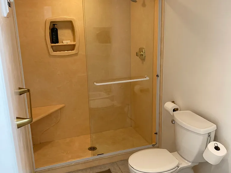 Master Bathroom Shower, toilet, bidet.
