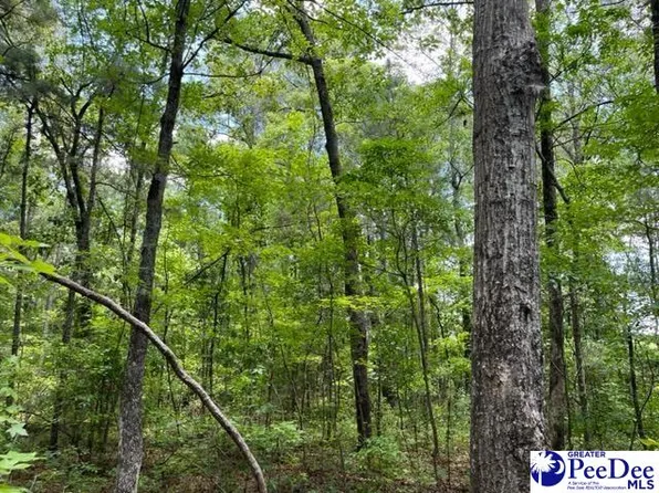 808 Floyds Rd Lot 3, Darlington, SC 29540