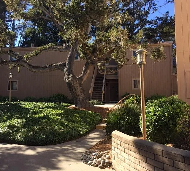 300 Glenwood Cir #290 — Photo 1