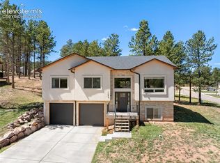 1382 Ridgestone Dr, Woodland Park, CO 80863