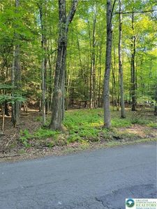 157 Pine Tree Dr #306, Cresco, PA, 18326