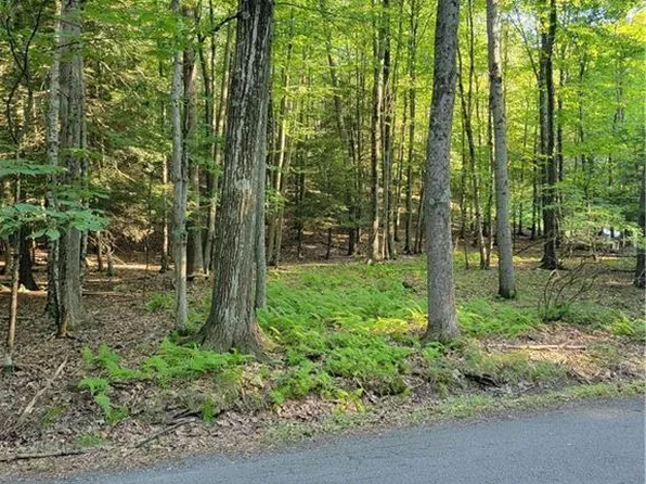 157 Pine Tree Dr #306, Cresco, PA 18326