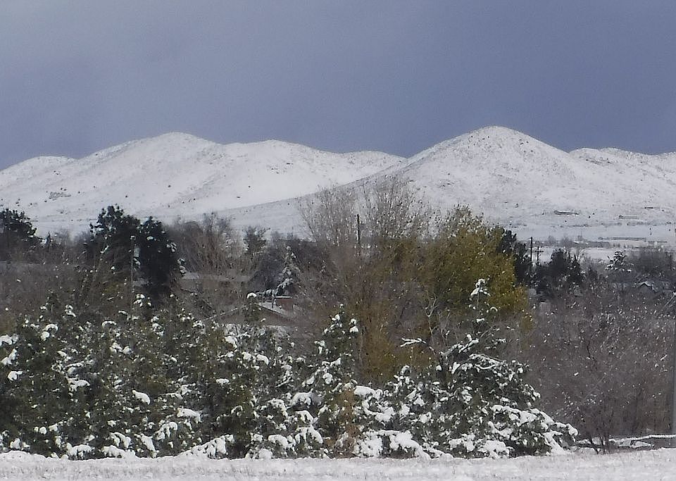 winter back yard view