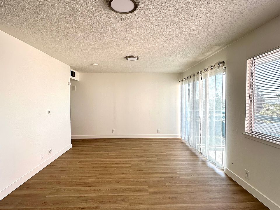 Large Bright Living Room