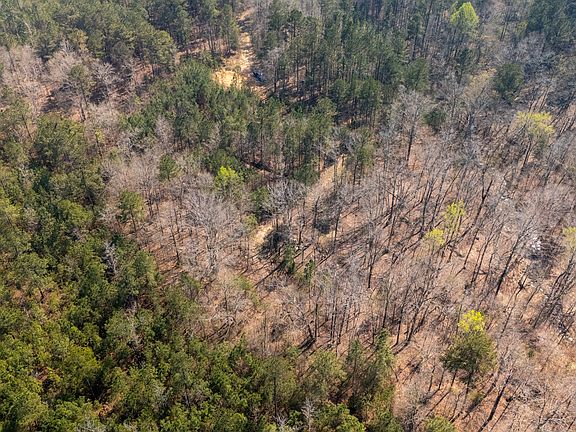 3rd image of 0 Lower Big Springs Rd