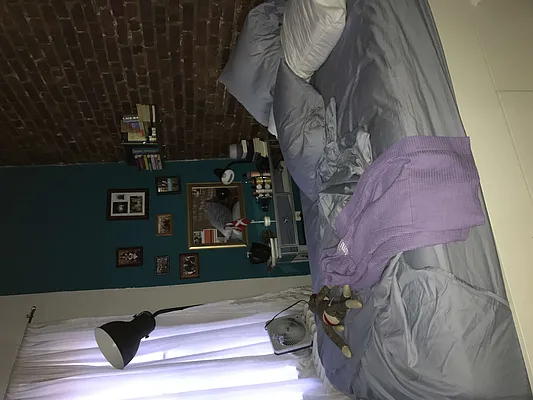 Rented by Chartwell Manhattan Realty | media 34